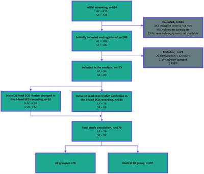 Continuous 24-h Photoplethysmogram Monitoring Enables Detection of Atrial Fibrillation